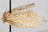  ( - 09-JBTOR-0779)  @12 [ ] CreativeCommons - Attribution (2010) Unspecified Centre for Biodiversity Genomics