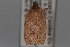  ( - 09-JBTOR-0780)  @12 [ ] CreativeCommons - Attribution (2010) Unspecified Centre for Biodiversity Genomics