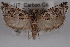  ( - 09-JBTOR-0496)  @13 [ ] CreativeCommons - Attribution (2010) Unspecified Centre for Biodiversity Genomics