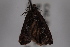  ( - 09-JBTOR-0687)  @13 [ ] CreativeCommons - Attribution (2010) Unspecified Centre for Biodiversity Genomics
