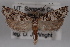 ( - 09-JBTOR-0499)  @13 [ ] CreativeCommons - Attribution (2010) Unspecified Centre for Biodiversity Genomics
