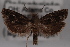  ( - 09-JBTOR-0595)  @14 [ ] CreativeCommons - Attribution (2010) Unspecified Centre for Biodiversity Genomics
