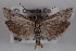  ( - 09-JBTOR-0601)  @13 [ ] CreativeCommons - Attribution (2010) Unspecified Centre for Biodiversity Genomics
