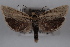  ( - 09-JBTOR-0602)  @13 [ ] CreativeCommons - Attribution (2010) Unspecified Centre for Biodiversity Genomics