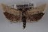  ( - 09-JBTOR-0603)  @13 [ ] CreativeCommons - Attribution (2010) Unspecified Centre for Biodiversity Genomics
