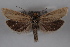  ( - 09-JBTOR-0604)  @14 [ ] CreativeCommons - Attribution (2010) Unspecified Centre for Biodiversity Genomics