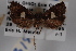  ( - 09-JBTOR-0797)  @12 [ ] CreativeCommons - Attribution (2010) Unspecified Centre for Biodiversity Genomics
