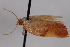  ( - 09-JBTOR-0707)  @12 [ ] CreativeCommons - Attribution (2010) Unspecified Centre for Biodiversity Genomics