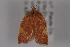  ( - 09-JBTOR-0708)  @12 [ ] CreativeCommons - Attribution (2010) Unspecified Centre for Biodiversity Genomics