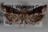  ( - 09-JBTOR-0614)  @13 [ ] CreativeCommons - Attribution (2010) Unspecified Centre for Biodiversity Genomics