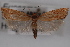  ( - 09-JBTOR-0522)  @13 [ ] CreativeCommons - Attribution (2010) Unspecified Centre for Biodiversity Genomics