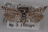  ( - 09-JBTOR-0617)  @11 [ ] CreativeCommons - Attribution (2010) Unspecified Centre for Biodiversity Genomics
