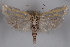  ( - 09-JBTOR-0527)  @14 [ ] CreativeCommons - Attribution (2010) Unspecified Centre for Biodiversity Genomics