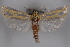  ( - 09-JBTOR-0528)  @14 [ ] CreativeCommons - Attribution (2010) Unspecified Centre for Biodiversity Genomics