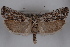  ( - 09-JBTOR-0529)  @14 [ ] CreativeCommons - Attribution (2010) Unspecified Centre for Biodiversity Genomics