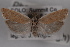  ( - 09-JBTOR-0624)  @14 [ ] CreativeCommons - Attribution (2010) Unspecified Centre for Biodiversity Genomics