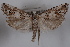  ( - 09-JBTOR-0530)  @14 [ ] CreativeCommons - Attribution (2010) Unspecified Centre for Biodiversity Genomics