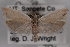  (Eucosma castrensis - 09-JBTOR-0625)  @14 [ ] CreativeCommons - Attribution (2010) Unspecified Centre for Biodiversity Genomics