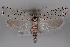  ( - 09-JBTOR-0533)  @14 [ ] CreativeCommons - Attribution (2010) Unspecified Centre for Biodiversity Genomics