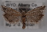  ( - 09-JBTOR-0629)  @14 [ ] CreativeCommons - Attribution (2010) Unspecified Centre for Biodiversity Genomics
