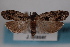  ( - 09-JBTOR-0819)  @14 [ ] CreativeCommons - Attribution (2010) Unspecified Centre for Biodiversity Genomics