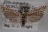  ( - 09-JBTOR-0630)  @14 [ ] CreativeCommons - Attribution (2010) Unspecified Centre for Biodiversity Genomics