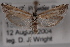  ( - 09-JBTOR-0631)  @14 [ ] CreativeCommons - Attribution (2010) Unspecified Centre for Biodiversity Genomics