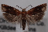  ( - 09-JBTOR-0632)  @12 [ ] CreativeCommons - Attribution (2010) Unspecified Centre for Biodiversity Genomics