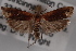  ( - 09-JBTOR-0633)  @12 [ ] CreativeCommons - Attribution (2010) Unspecified Centre for Biodiversity Genomics