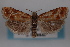  ( - 09-JBTOR-0823)  @12 [ ] CreativeCommons - Attribution (2010) Unspecified Centre for Biodiversity Genomics