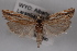  ( - 09-JBTOR-0541)  @11 [ ] CreativeCommons - Attribution (2010) Unspecified Centre for Biodiversity Genomics