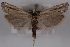  ( - 09-JBTOR-0542)  @11 [ ] CreativeCommons - Attribution (2010) Unspecified Centre for Biodiversity Genomics