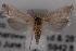  ( - 09-JBTOR-0637)  @13 [ ] CreativeCommons - Attribution (2010) Unspecified Centre for Biodiversity Genomics