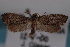  ( - 09-JBTOR-0827)  @13 [ ] CreativeCommons - Attribution (2010) Unspecified Centre for Biodiversity Genomics