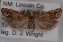  ( - 09-JBTOR-0638)  @12 [ ] CreativeCommons - Attribution (2010) Unspecified Centre for Biodiversity Genomics