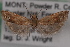  ( - 09-JBTOR-0639)  @12 [ ] CreativeCommons - Attribution (2010) Unspecified Centre for Biodiversity Genomics