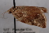  ( - 09-JBTOR-0734)  @12 [ ] CreativeCommons - Attribution (2010) Unspecified Centre for Biodiversity Genomics