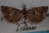  ( - 09-JBTOR-0829)  @13 [ ] CreativeCommons - Attribution (2010) Unspecified Centre for Biodiversity Genomics
