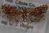  ( - 09-JBTOR-0640)  @12 [ ] CreativeCommons - Attribution (2010) Unspecified Centre for Biodiversity Genomics