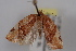  ( - 09-JBTOR-0735)  @13 [ ] CreativeCommons - Attribution (2010) Unspecified Centre for Biodiversity Genomics