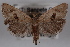  ( - 09-JBTOR-0546)  @13 [ ] CreativeCommons - Attribution (2010) Unspecified Centre for Biodiversity Genomics