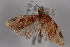  ( - 09-JBTOR-0736)  @13 [ ] CreativeCommons - Attribution (2010) Unspecified Centre for Biodiversity Genomics