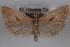  ( - 09-JBTOR-0547)  @13 [ ] CreativeCommons - Attribution (2010) Unspecified Centre for Biodiversity Genomics