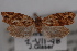  ( - 09-JBTOR-0832)  @12 [ ] CreativeCommons - Attribution (2010) Unspecified Centre for Biodiversity Genomics