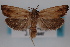  ( - 09-JBTOR-0838)  @13 [ ] CreativeCommons - Attribution (2010) Unspecified Centre for Biodiversity Genomics