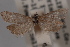  ( - 09-JBTOR-0463)  @11 [ ] CreativeCommons - Attribution (2010) Unspecified Centre for Biodiversity Genomics