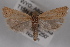  ( - 09-JBTOR-0558)  @13 [ ] CreativeCommons - Attribution (2010) Unspecified Centre for Biodiversity Genomics
