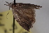  ( - 09-JBTOR-0748)  @13 [ ] CreativeCommons - Attribution (2010) Unspecified Centre for Biodiversity Genomics