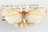  ( - 09-JBTOR-1033)  @11 [ ] CreativeCommons - Attribution (2010) Unspecified Centre for Biodiversity Genomics