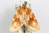 ( - 09-JBTOR-1039)  @11 [ ] CreativeCommons - Attribution (2010) Unspecified Centre for Biodiversity Genomics